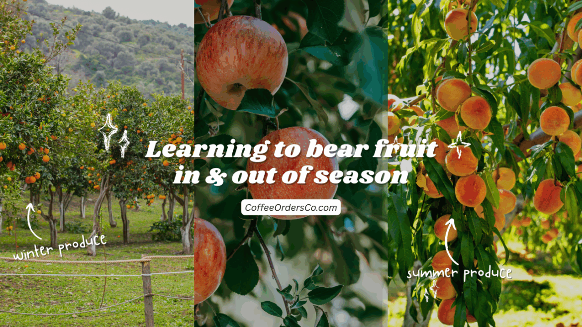 a little reflection: learning to bear fruit in and out of season.